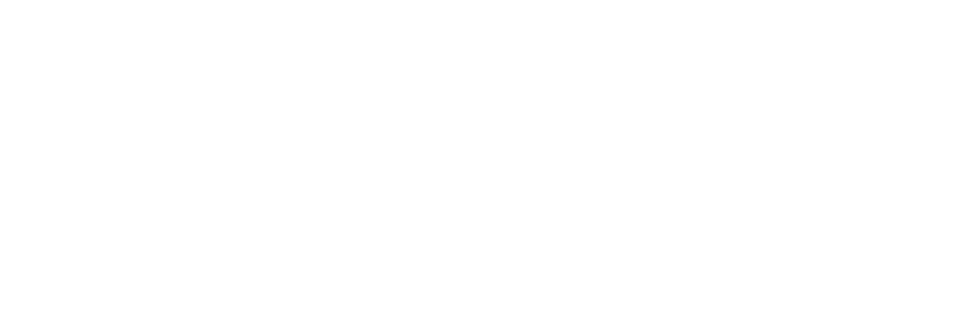 EV News Flash Logo